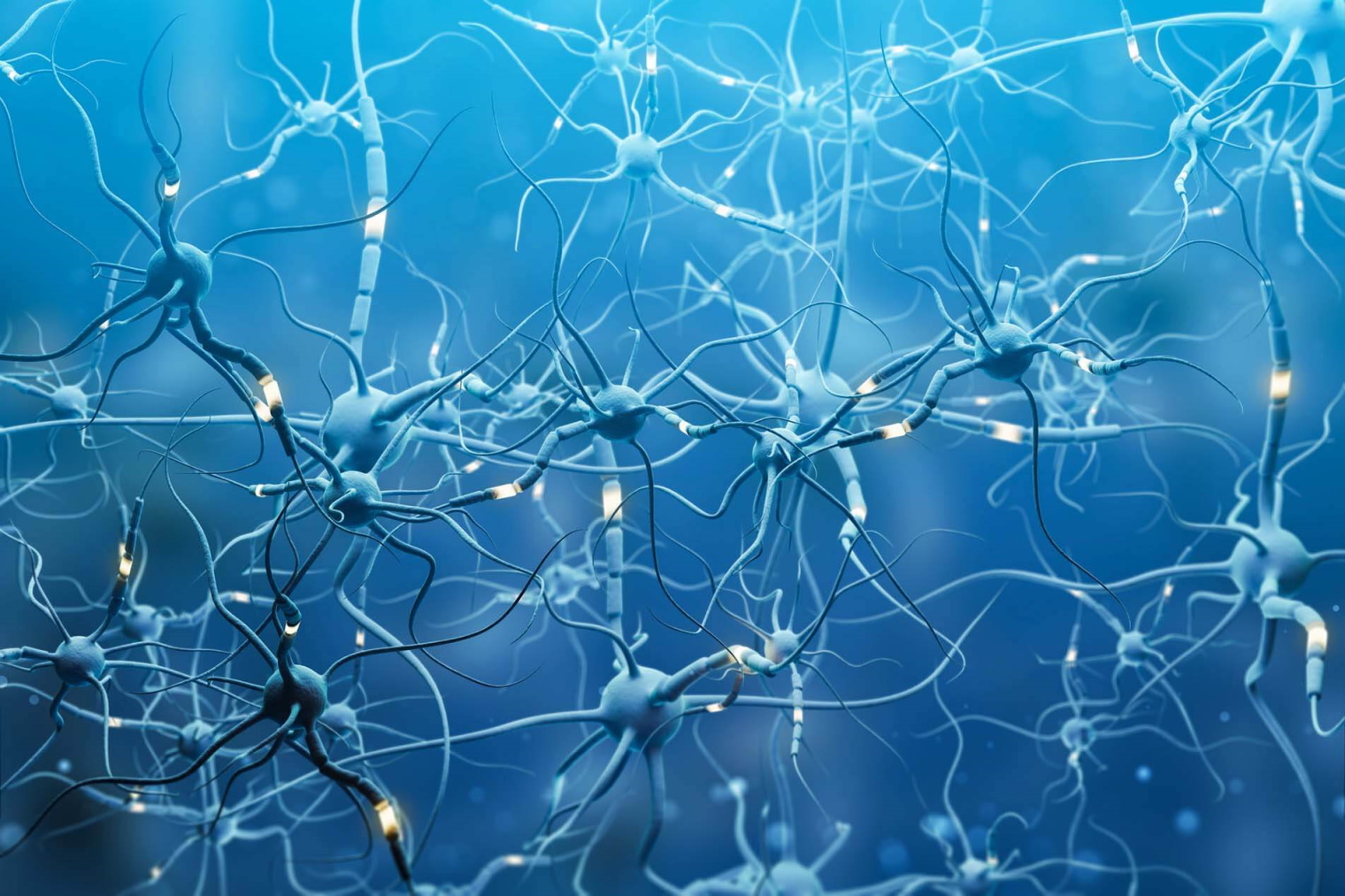 neurony mózg